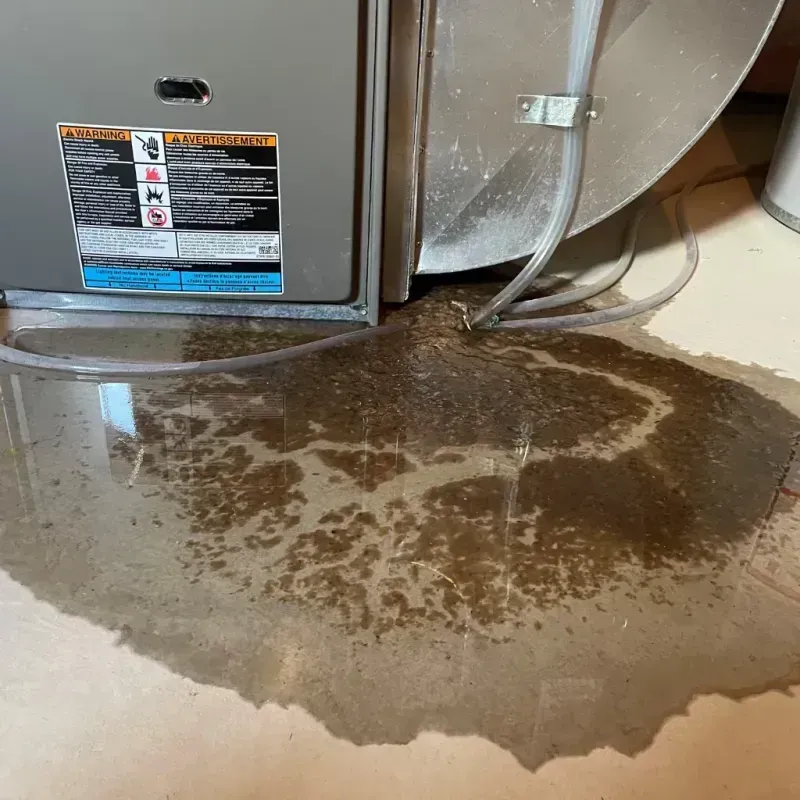 Appliance Leak Cleanup in Watertown, NY